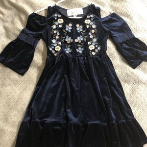Girls velvet embroidered dress NWT
